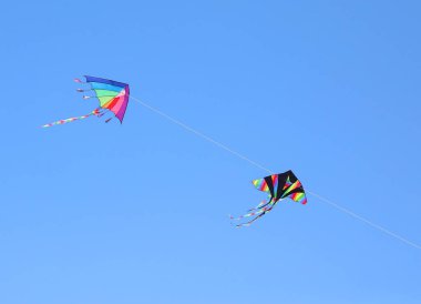 Gökkuşağı renginde iki renkli uçurtma mavi gökyüzünde bir ipe bağlı uçuyor.