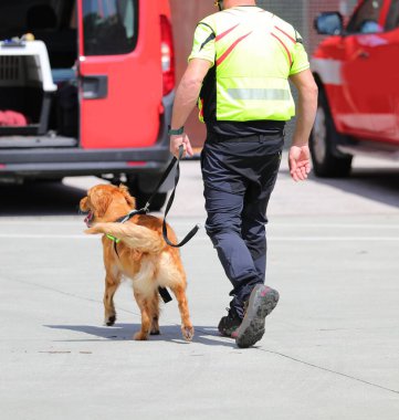 Trained molecular detection dog on the job and handler during a search clipart