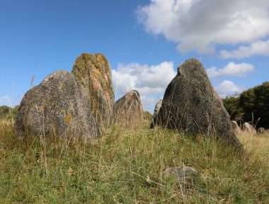 Aalborg, A, Danimarka - 25 Ağustos 2024 Lindholm 'deki Taşların Detayları Hoje Kuzey Jutland' daki ünlü Viking mezarlığı