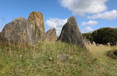 Aalborg, A, Danimarka - 25 Ağustos 2024: Lindholm 'deki Taşların Detayları Hoje Jutland' daki Viking mezarlığı