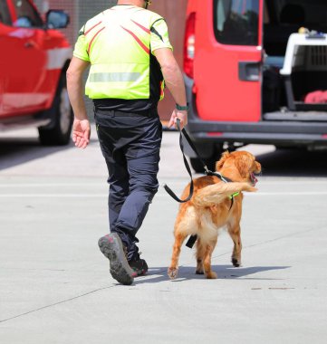 Bir arama sırasında eğitimli moleküler tespit köpeği ve idarecisi