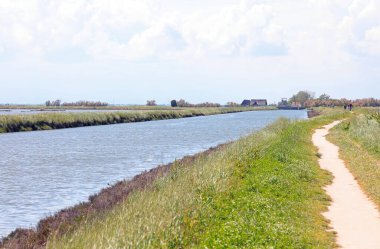 cycle path on the river bank with the lagoon in the plain in summer without people clipart