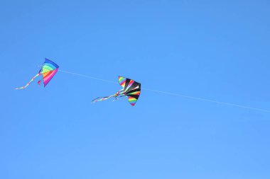 Mavi gökyüzünde uçan iki renkli uçurtma çocukluğu ve aydınlığı ve hepsinden önemlisi özgürlüğü simgeliyor.