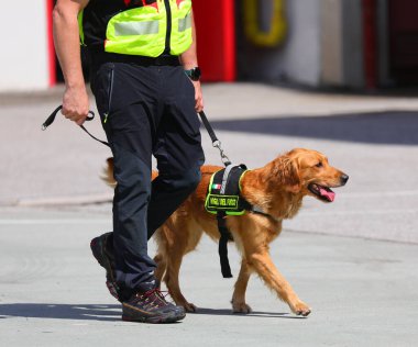 Vicenza, VI, İtalya - 23 Mayıs 2024: İtalyan şehrinde K9 veya SAR Arama Kurtarma adlı köpek birimi olan adam