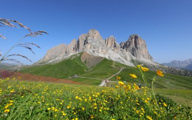 flowers and alpine flora with the sasso lungo mountain group in the northeastern alps of italy and five fingers mountain said to be a petrified giant hand clipart