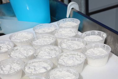 Geleneksel mandırada zanaatkar peynircinin yaptığı taze el yapımı ricotta peyniri sepetleri.