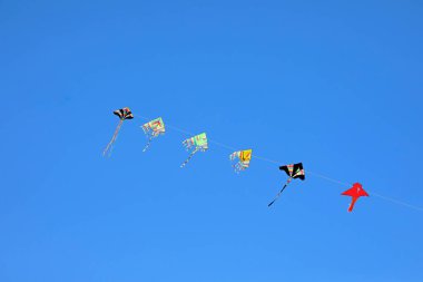 Mavi gökyüzünde, havada özgürce süzülürken birbirine bağlı altı renkli uçurtma uçuyor.