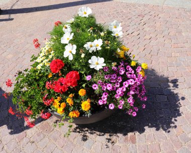 Yazın bir sürü çiçek açan bir şehir ekicisi.