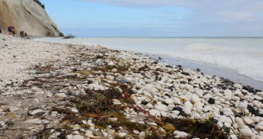 Sahilde biraz yosun ve mavinin tonlarında su olan kayalık bir sahil.