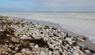 Kayalık sahil Baltık Denizi dalgaları kıyı şeridini vuruyor Yazın hiç kimse