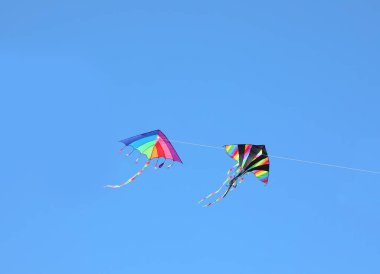 Gökkuşağı renklerinde renkli uçurtmalar gökyüzünde birlikte uçuyor.