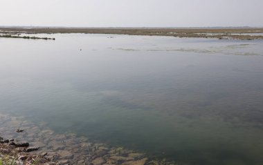 Kuzey İtalya 'daki veneto bölgesinde sığ ve çamurlu tabanlı Venedik lagününün tipik manzarası