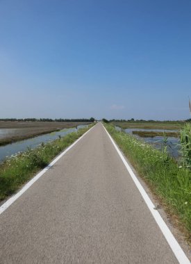 Yazın düz bir tarlada insanların olmadığı düz bir yol.