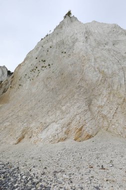 Doğal elementlerden ve bitkilerden aşınan beyaz kireçtaşı kayalığı tehlikeli bir şekilde düşme tehlikesiyle karşı karşıya.