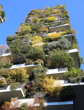Milan, MI, İtalya - 2 Kasım 2024: BOSCO VERTICALE ve mavi gökyüzü adı verilen birçok ağaç ve bitki içeren modern bina