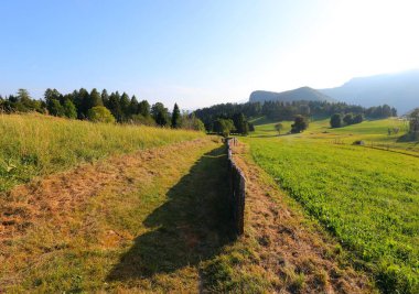 Long mule track lined with stone slabs casting shadows at sunset in the mountains clipart