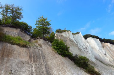 Tall limestone cliff undergoing erosion viewed from below with plants precariously balanced at risk of falling clipart