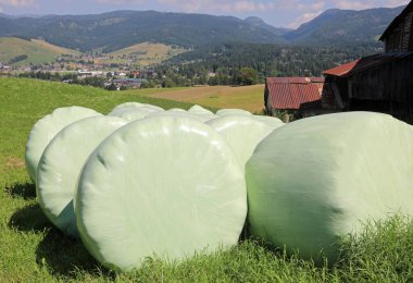 hay bales covered with sturdy green plastic for weather protection in the mountains in summer clipart