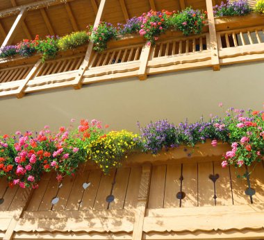 Çiçekli teras ve dağ evinde tahta çıta.