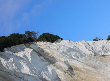 White calcium carbonate cliff being eroded and plants on the ridge at risk of collapsing clipart