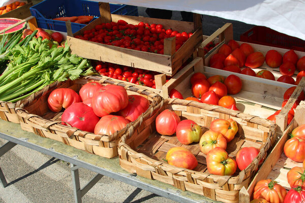 Fresh tomatoes and other organic vegetables for sale at the produce market during summer