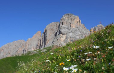 Kuzey İtalya 'daki Dolomitlerin dağ sıraları ve yaz aylarında tarlaların yabani çiçekleri.