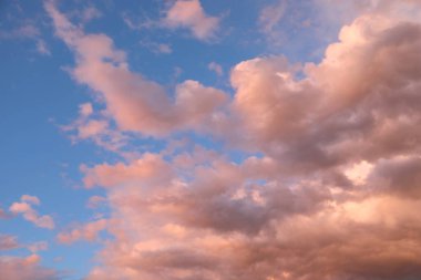 Soft pink clouds at sunset and the blue sky as the ideal romantic background clipart