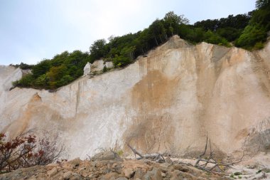 Tall white cliff of calcium carbonate being eroded by weather elements and plants on the top at risk of collapse clipart