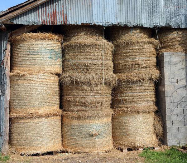 Some bales of dry hay stored in a farm barn and protected from the weather