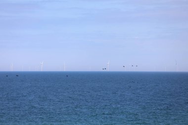 Blue Baltic Sea and in the distance the blades of wind energy production and a flock of birds clipart