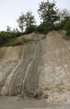 Uçurumun kenarındaki bitkiler ve ağaçlar erozyon riski altında ve insanlar olmadan çökerler.