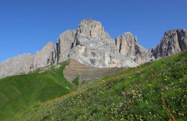 Kuzey İtalya 'daki Dolomite Dağları' ndaki Avrupa Alpleri manzarası ve kır çiçekleriyle çiçek açan çayır.