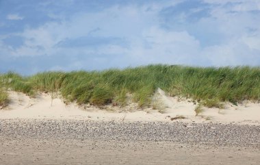 desolate almost desert landscape with sand and stones and little vegetation and blue sky typical of the Mediterranean scrub and North African countries in summer clipart