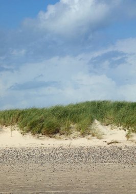 Kum, kaya ve az bitki örtüsüyle ıssız bir çöl manzarası.