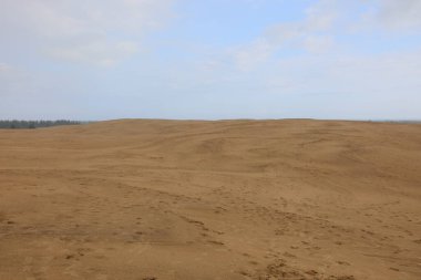 Kumlu kum tepeciği ve çöl manzarası doğa ve kirlenmemiş çevre için ideal.
