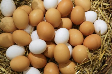 Saman ve taze yumurta dolu sepet de organik olarak yetiştirilmiş tavuklardan.