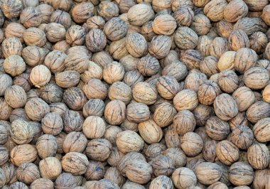 Organik tekniklerle yetişen ağaçlardan toplanan pek çok kahverengi ceviz kabuğunun arka planı