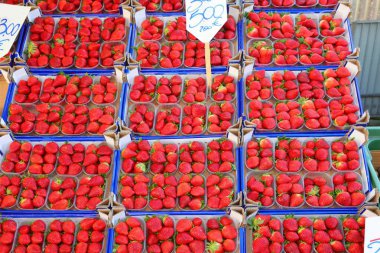 many trays full of large ripe red strawberries for sale at the supermarket and the label with the price clipart