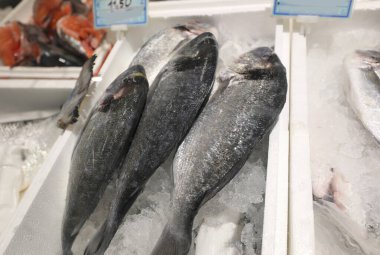Balık pazarındaki polistiren tepside yeni yakalanmış sağlıklı omega 3 yağlı büyük yaldızlı başlık.