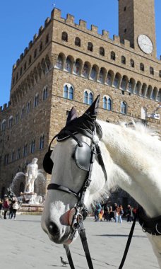 Floransa 'daki Piazza della Signoria' da at gözlüğü ve arka planda Palazzo Vecchio.