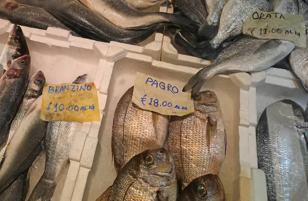 Taze yakalanmış balıklar, levrek, deniz kepeği ve İtalyan dilinde etiketi ve adı olan pagrus gibi.