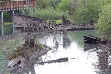 BURCI Mezarlığı, Kuzey İtalya 'da SILE nehrinin kıvrımlarında, BURCIO veya BURCHIO adı verilen batık tekne enkazı ve doğal parktaki BURCHIO ile yararlı bir paldır.