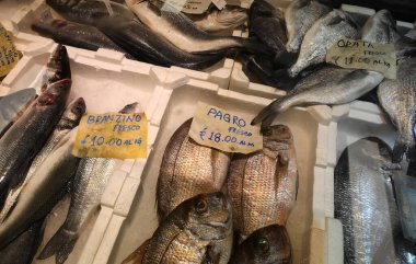 Balıkçıda satılık levrek, levrek ya da çipura gibi İtalyanca isimleri olan bir sürü yeni yakalanmış balık var.