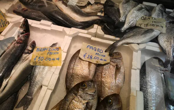 Balıkçıda satılık levrek, levrek ya da çipura gibi İtalyanca isimleri olan bir sürü yeni yakalanmış balık var.