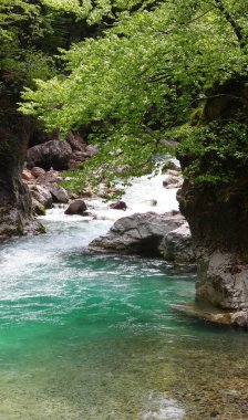 Yazın kayaların ve yemyeşil bitkilerin ortasından akan temiz kaynak suyuyla vadiye akarcasına.