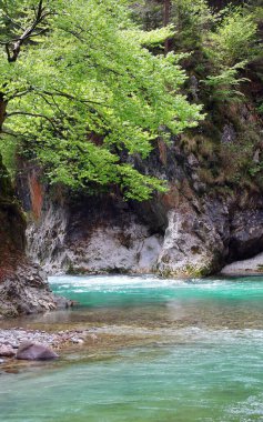 Kayaların arasından akan temiz yeşil suyla bozulmamış doğanın büyüleyici doğal manzarası.