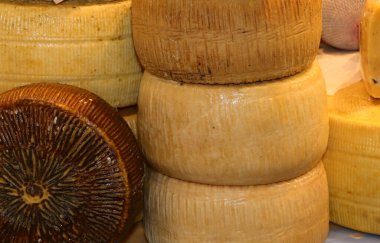 PECORINO italyan peyniri ve daha fazlası satılık.