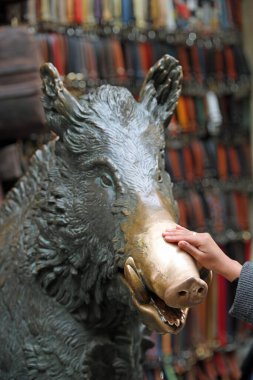 Floransa, FI, İtalya - 2 Mart 2025: Yabandomuzu heykeli de İtalya 'da PORCELLINO olarak adlandırılır ve turist sikkelerini iyi şans tılsımı olarak kullanırlar.