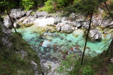 İlkbaharda kayalar ve bitkiler arasında akan dağların üzerinden büyüleyici bir manzara.
