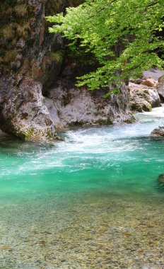 Parlak yeşil suların kayalıklardan aktığı bozulmamış doğa manzarası.